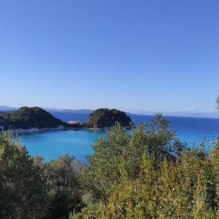 Margarita Apartments Paxos - Studio Kam Lákka Exteriör bild