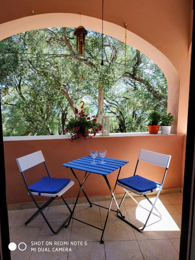 Margarita Apartments Paxos - Studio Kam Lákka Exteriör bild