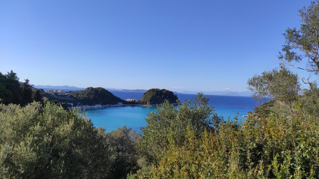 Margarita Apartments Paxos - Studio Kam Lákka Exteriör bild